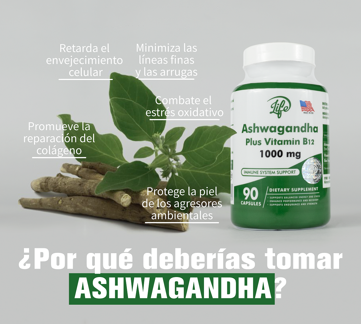 ASHWAGANDHA + B12 | El Suplemento que Acompaña tu Rutina Intensa sin Agotarte